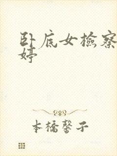 卧底女检察官许婷封面