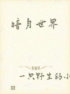 暗月世界