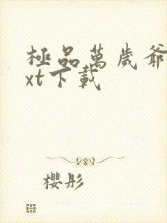 极品万岁爷 txt下载