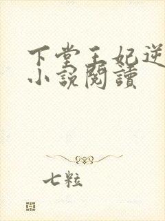 下堂王妃逆袭记小说阅读封面