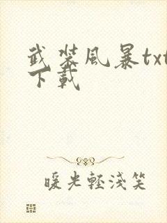 武装风暴txt下载