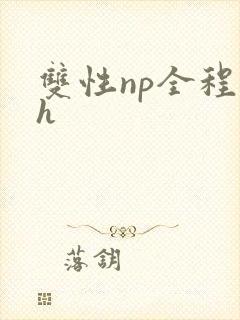 双性np全程高h