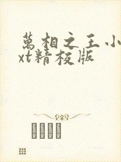 万相之王小说txt精校版