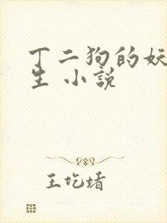 丁二狗的妖孽人生 小说