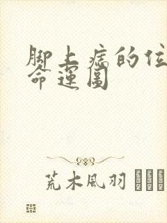 脚上痣的位置与命运图