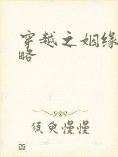 穿越之姻缘劫攻略封面