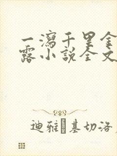 一泻千里金银花露小说全文免费阅读封面