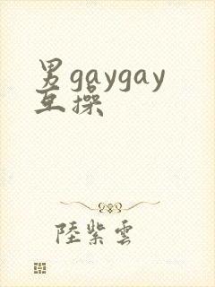 男gaygay互操