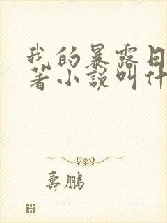 我的暴露日记原著小说叫什么