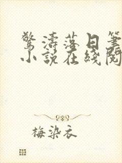 惊涛落日笔趣阁小说在线阅读