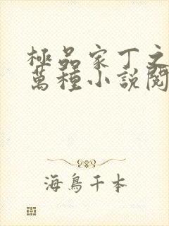 极品家丁之风情万种小说阅读无弹窗