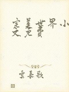 完美世界小说全文免费封面