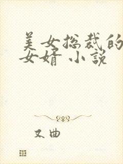 美女总裁的上门女婿 小说
