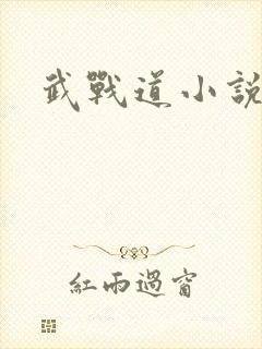 武战道小说