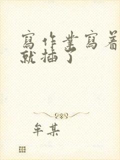 写作业写着写着就插了