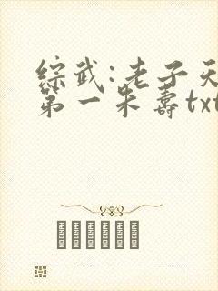 综武:老子天下第一朱寿txt下载封面
