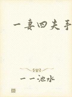 一妻四夫手记