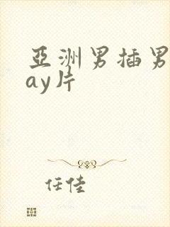 亚洲男插男同gay片