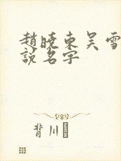 赵晓东吴雪晴小说名字