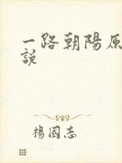 一路朝阳原著小说