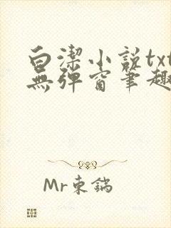 白洁小说txt无弹窗笔趣阁