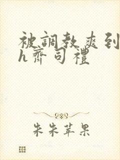 被调教爽到失禁h齐司礼