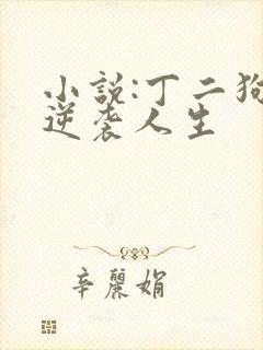 小说:丁二狗的逆袭人生