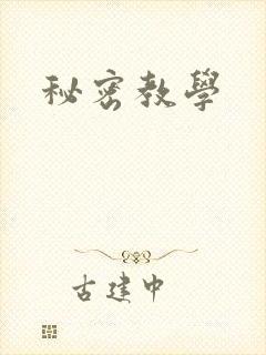 秘密教学