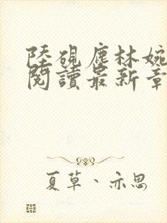 陆砚尘林婉全文阅读最新章节封面