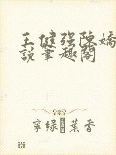 王健强陈娇娇小说笔趣阁