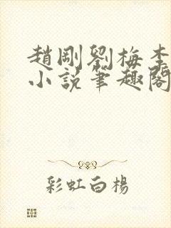 赵刚刘梅李晓雅小说笔趣阁