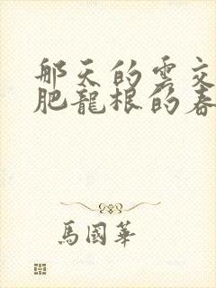 那天的云交雨合肥龙根的春天封面