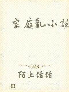 家庭乱小说封面