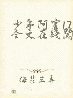 少年阿宾172全文在线阅读