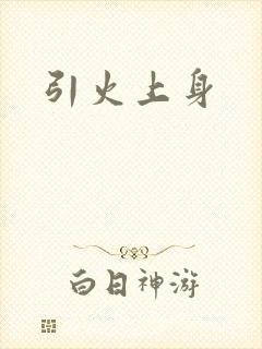 引火上身封面