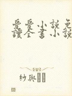 爱爱小说免费阅读全书小说乡村