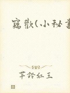 窃欢(小秘书)封面