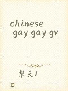 chinese gay gay gv