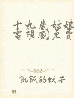 十九岁姑娘高清电视剧免费看封面