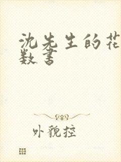 沈先生的花式调数书