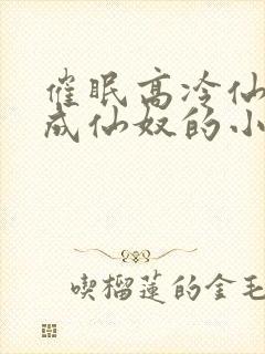 催眠高冷仙奴变成仙奴的小说