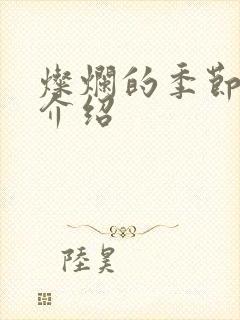 灿烂的季节剧情介绍