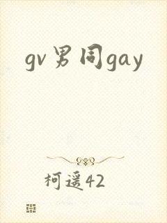 gv男同gay