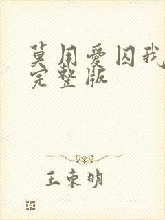 莫用爱囚我小说完整版