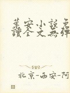 叶安小说免费阅读全文无弹窗