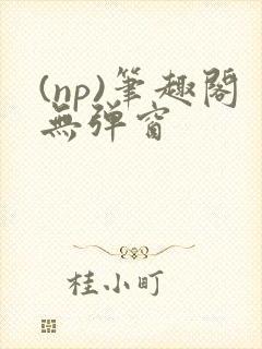 (np)笔趣阁无弹窗