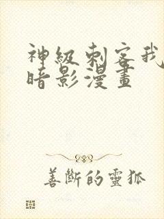 神级刺客我即是暗影漫画封面