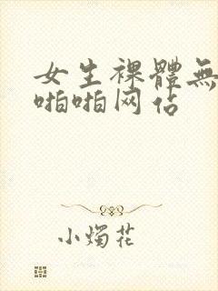 女生裸体无遮挡啪啪网站封面