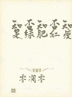 知否知否知否应是绿肥红瘦dvd版在线观看