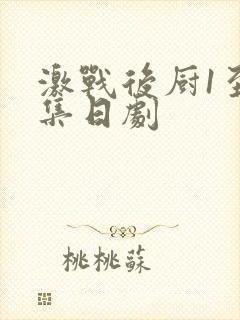 激战后厨1至5集日剧